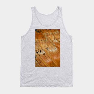 Red Rock Orange Slope, Bryce Canyon National Park Tank Top